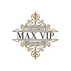 logo max vip